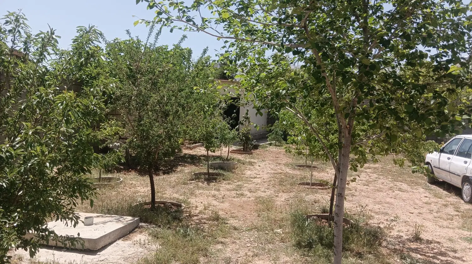 زمین مسکونی قلات