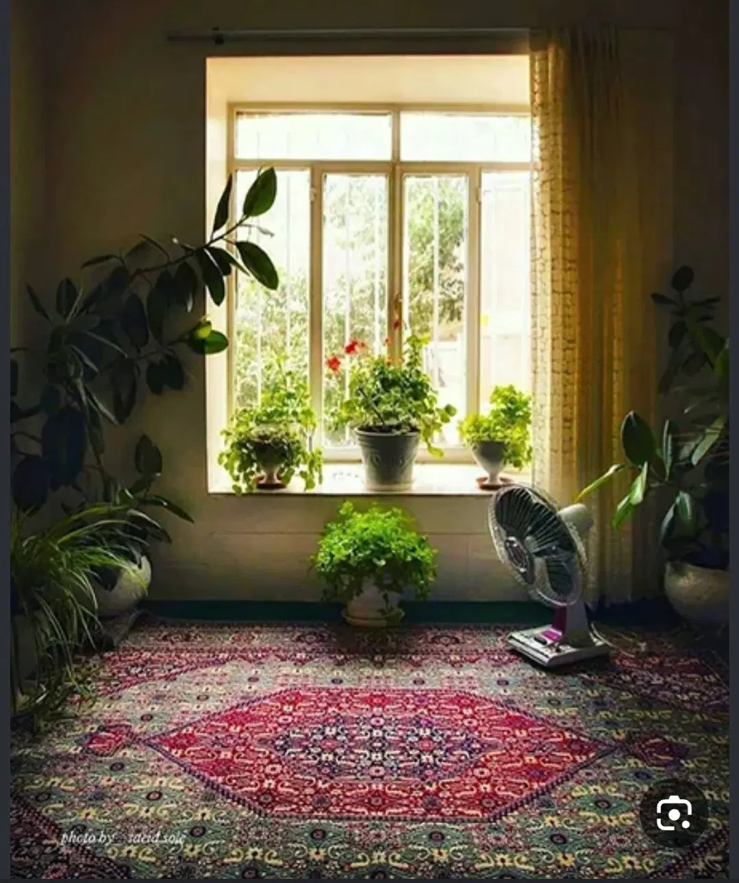 اجازه مسکن