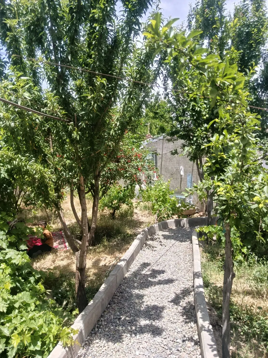 اجاره روزانه.ساعتی.