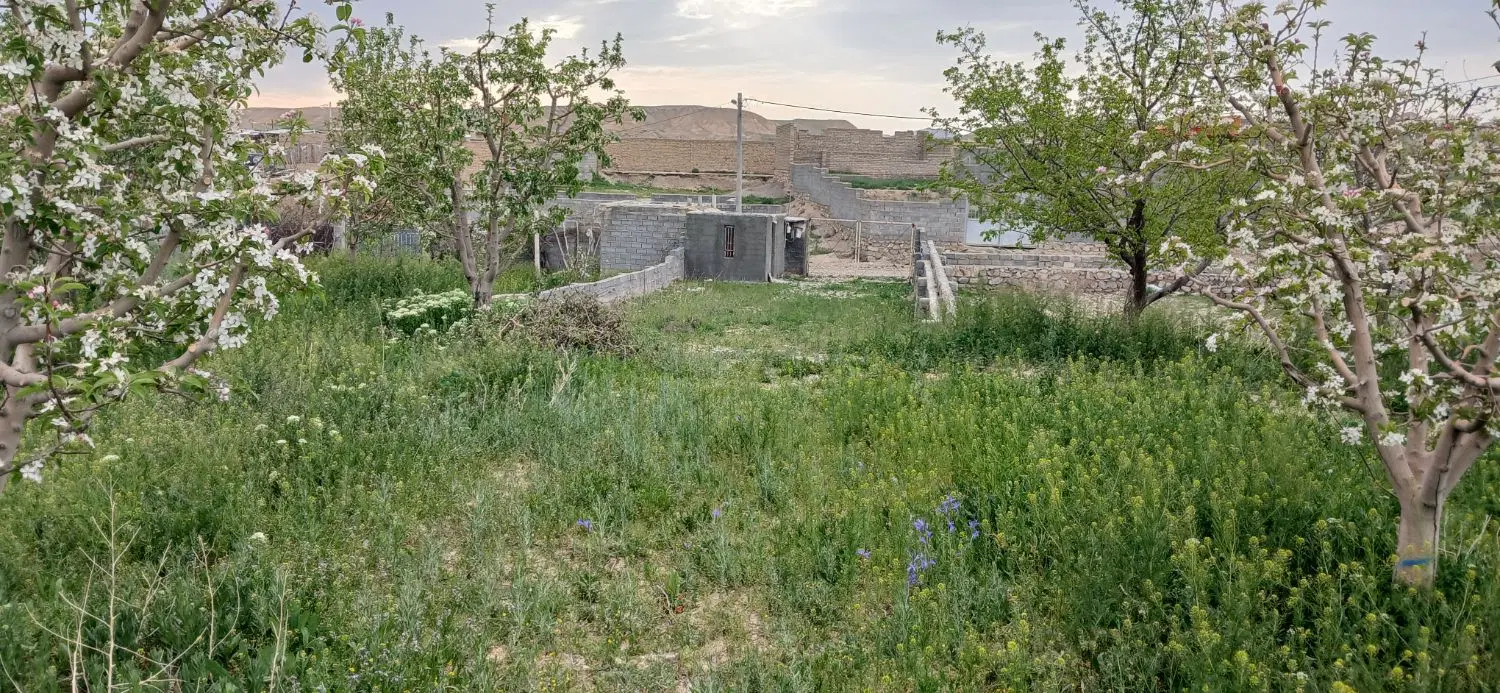 باغ