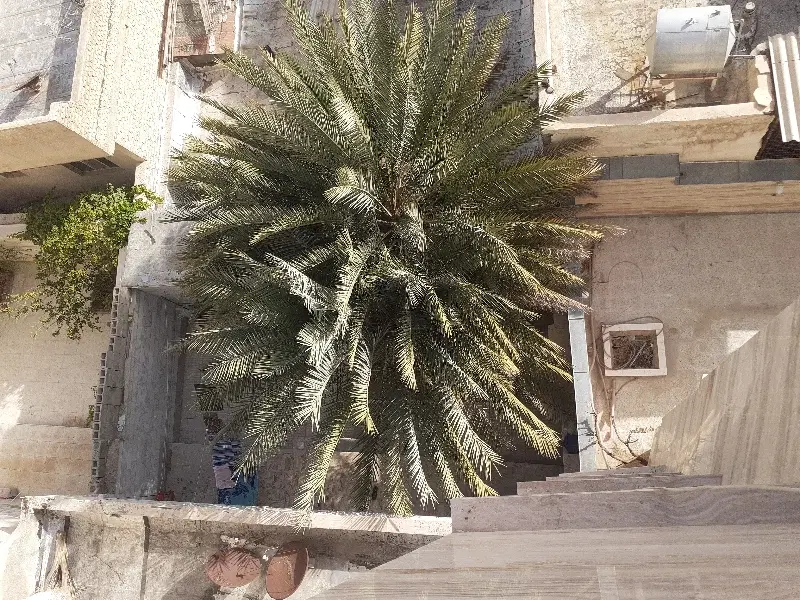 ویلایی ۲۹۰ متری در محله ای بسیار آرام و دنج