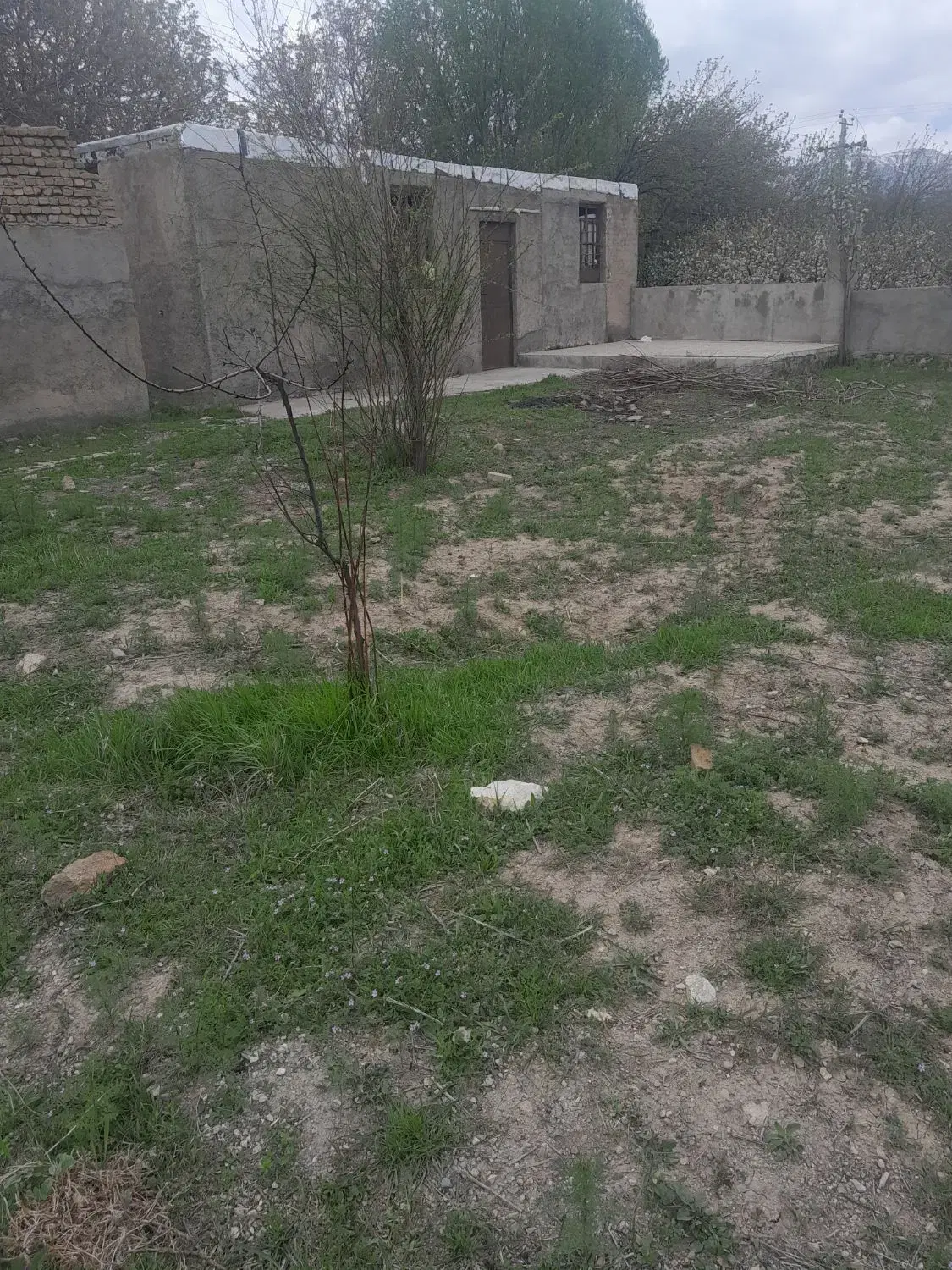 ۳۰۰۰زمین زراعی بابرج وبرق سه فاز املاک سیدذاکر