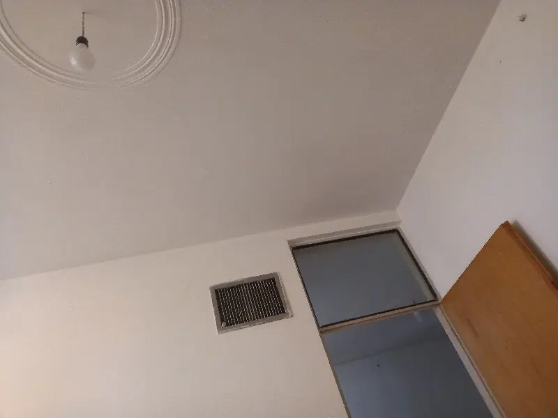 همخونه خانم