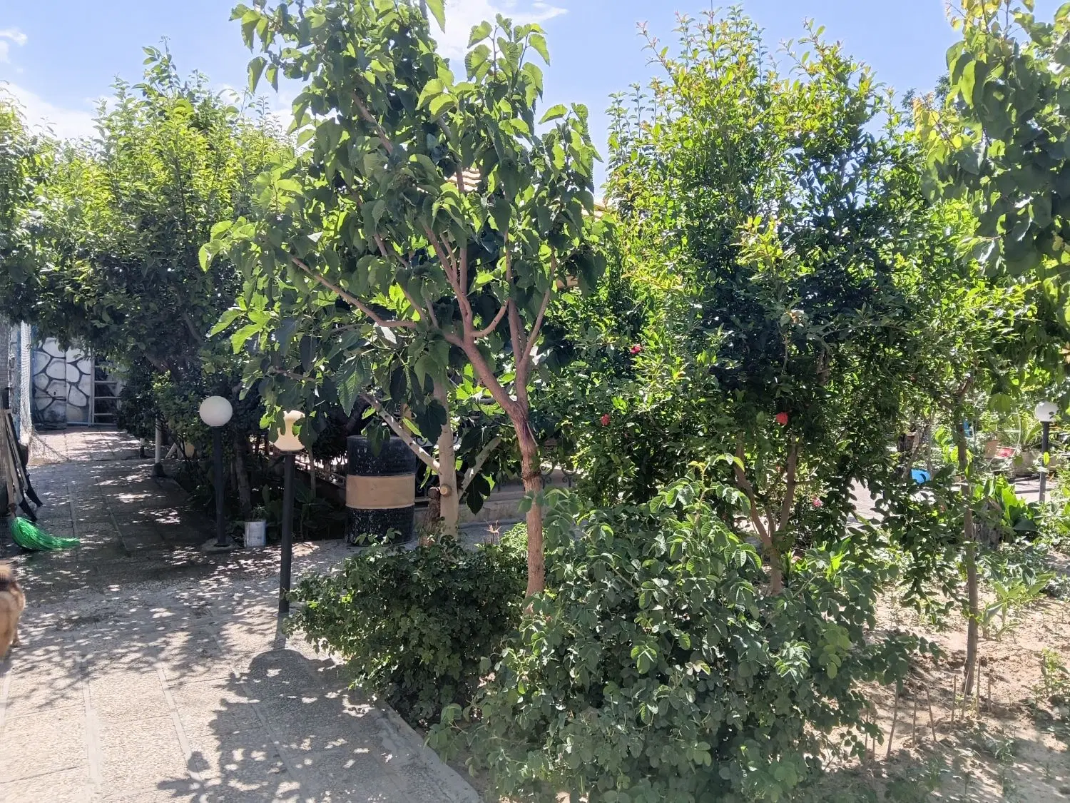 فروش زمین 1470 متری