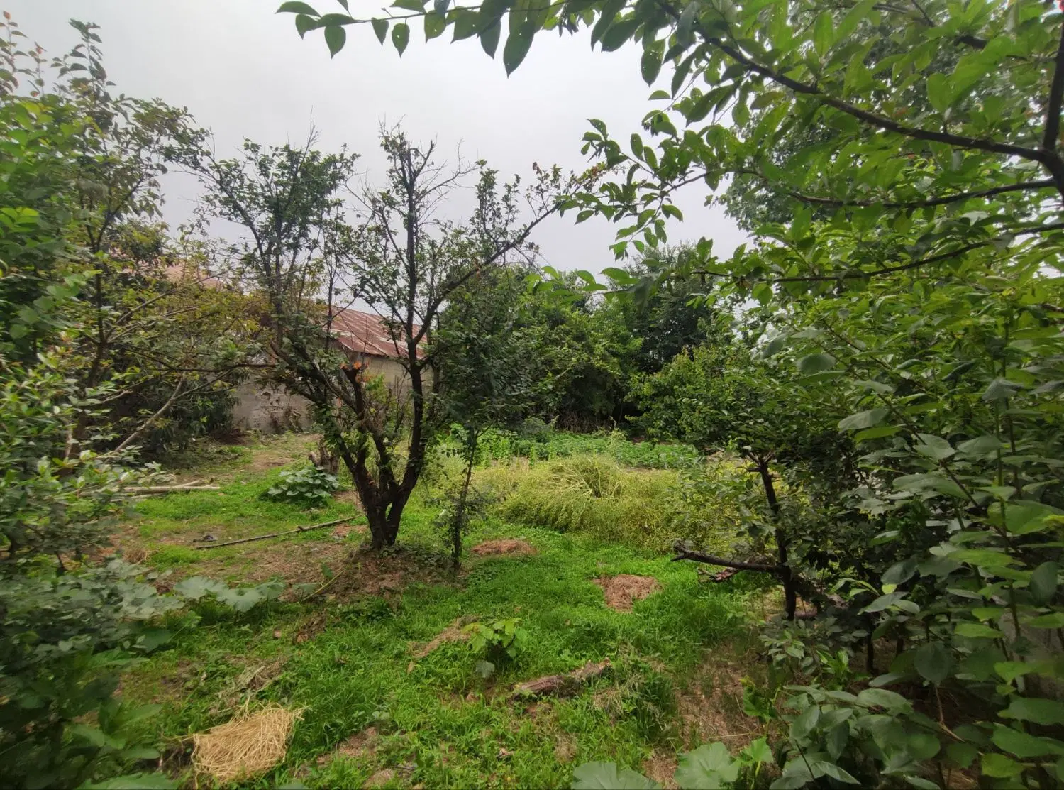 فروش زمین مسکونی