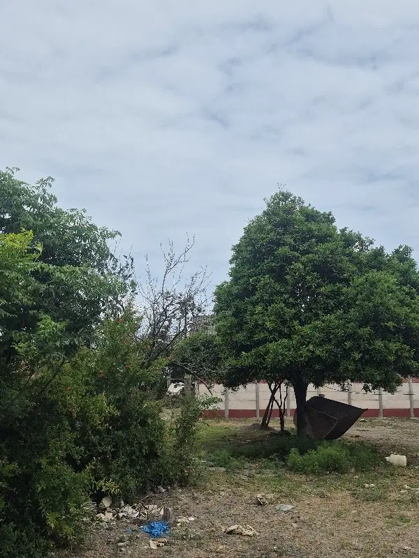 منزل مسکونی قدیمی رو به دریا