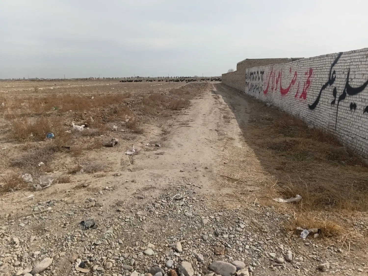 ۸۶۰مترزمین بحرجاده اطلی