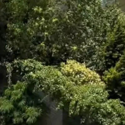 خانه ویلایی