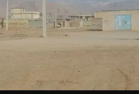 ۱۰۰زمین روبروی گاوداری را سیاه بید نزدیک طرح ساخت