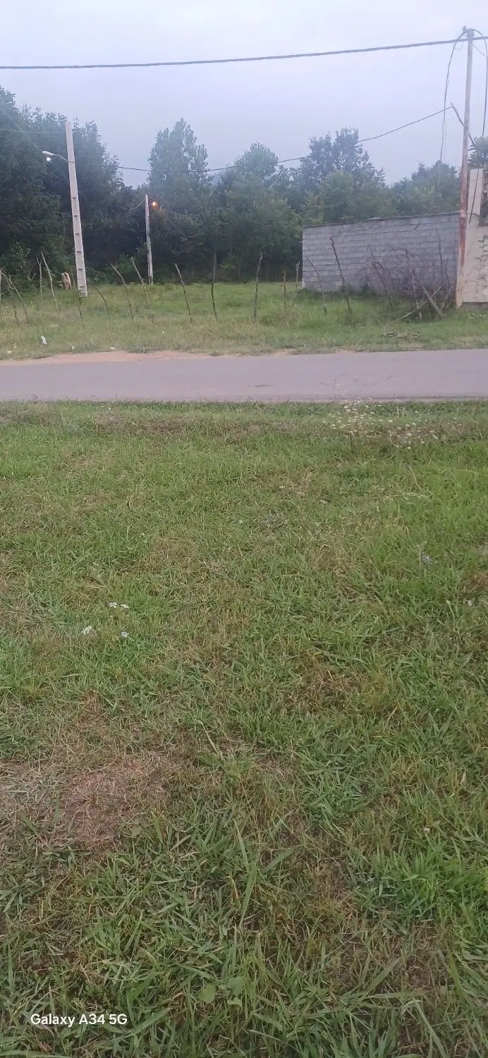 ۲۸۱متر زمین بهر اسفالت روستای لیش