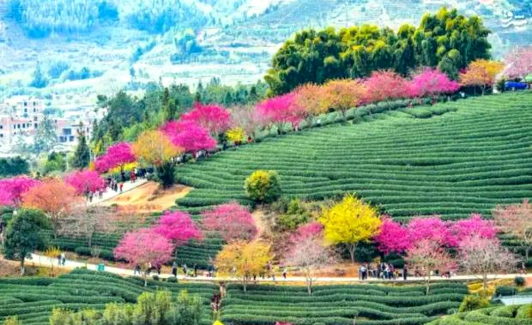 فروش استثنایی زمین  باغ شهری ( آب پرده و قره چمن )