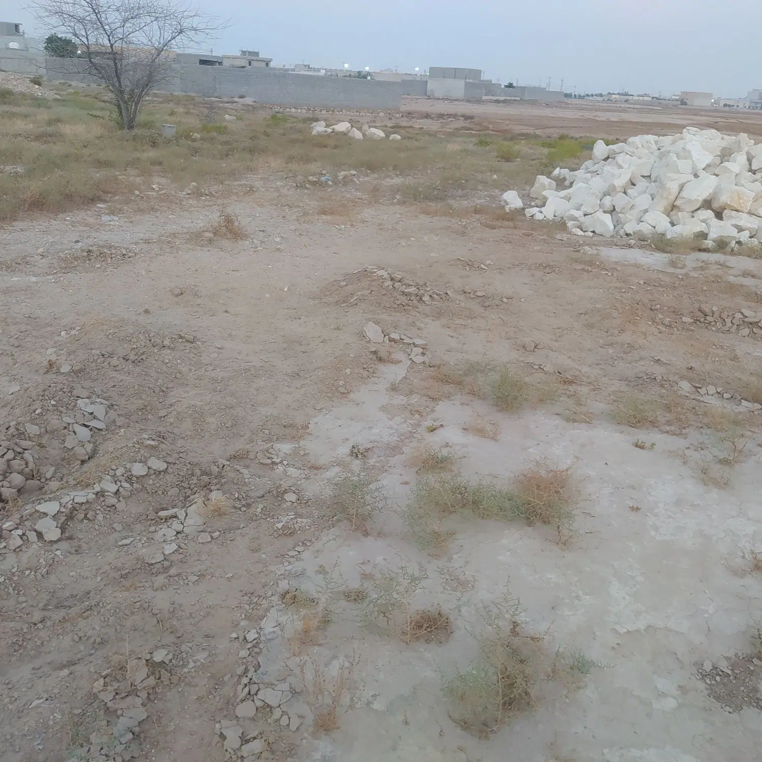زمین بندر ریگ