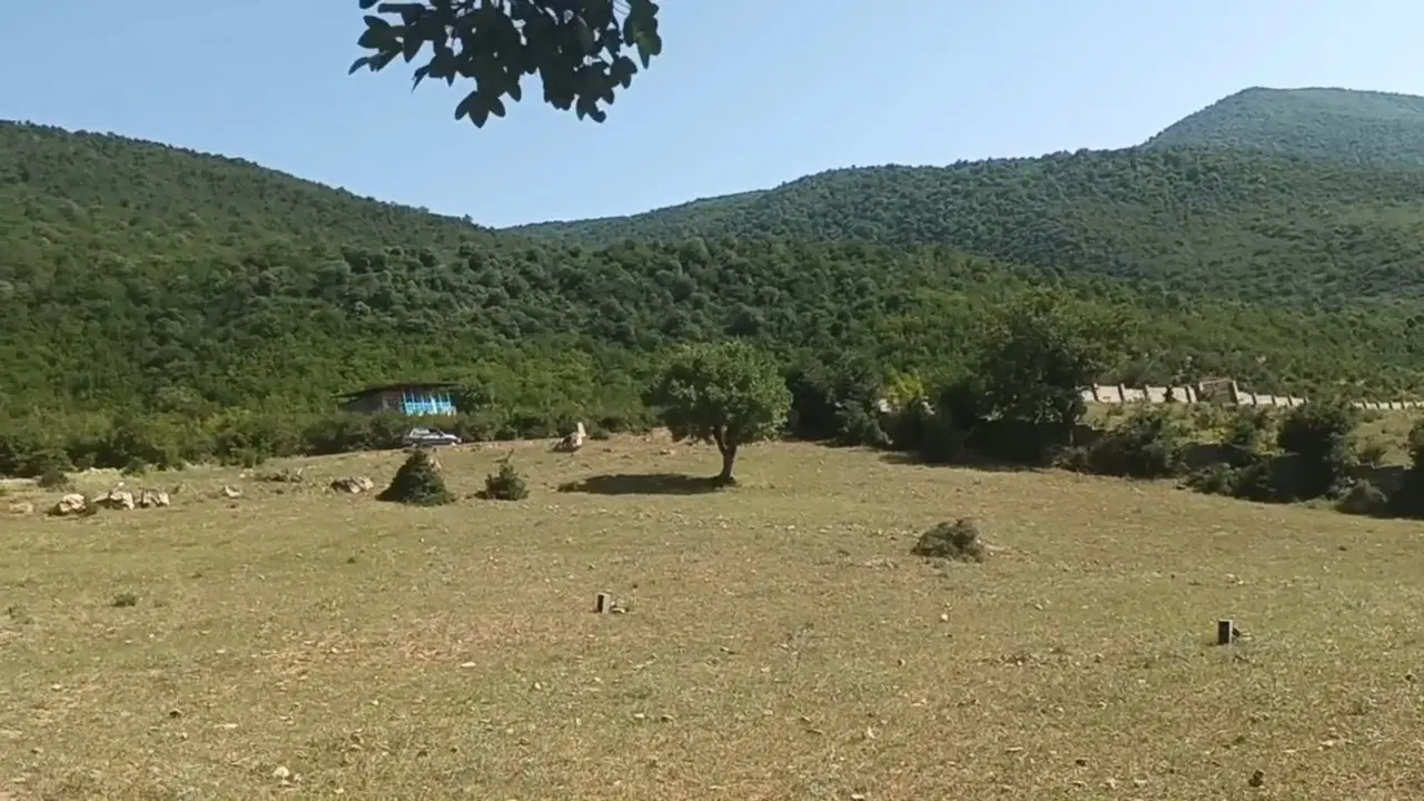 زمین در منطقه کجور دشت نظیر