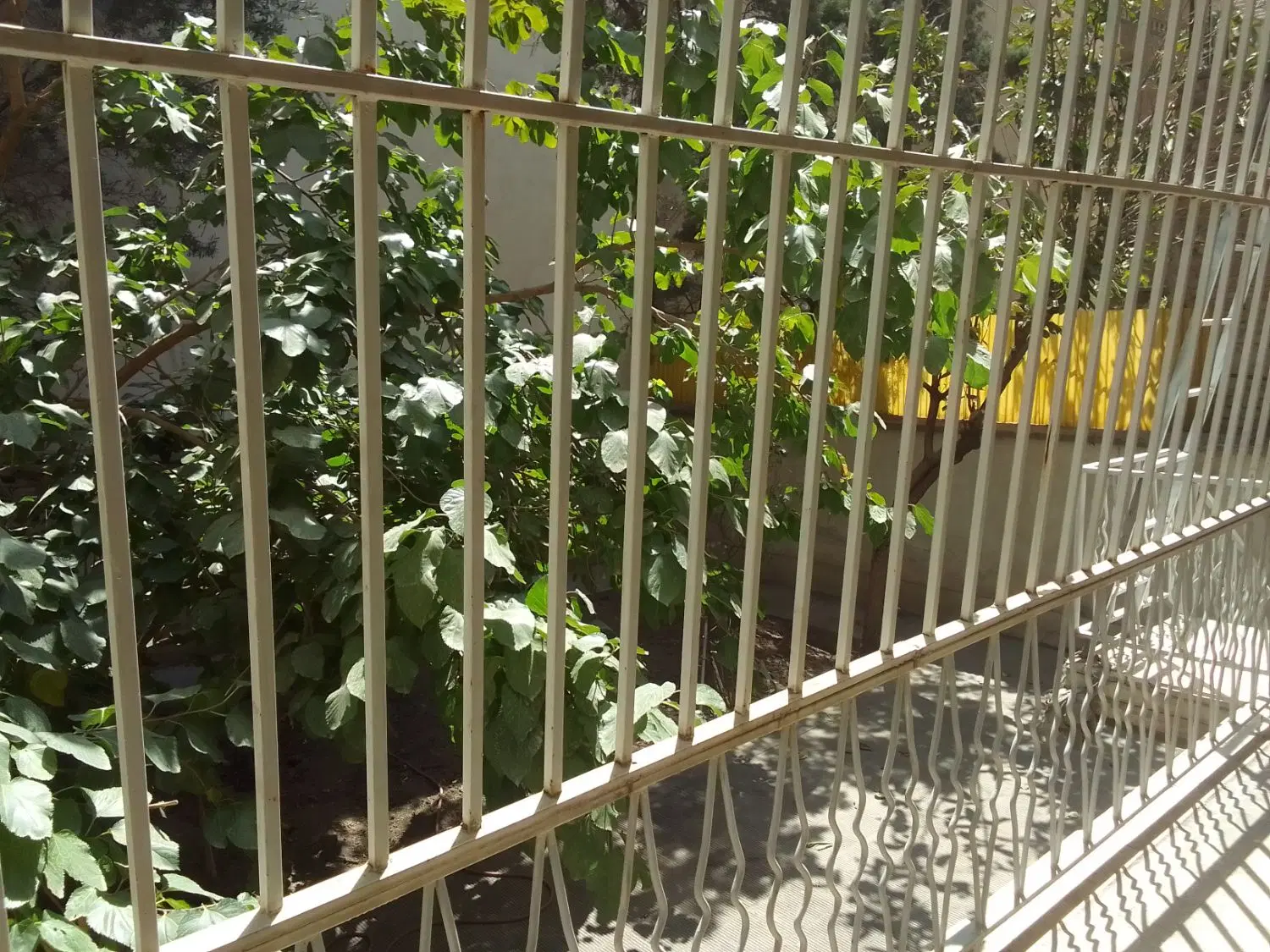 اجاره خانه ویلایی
