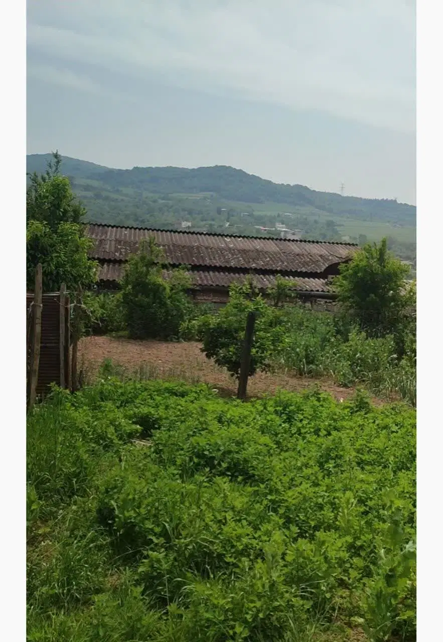 ۱۱۲متر زمین مسکونی