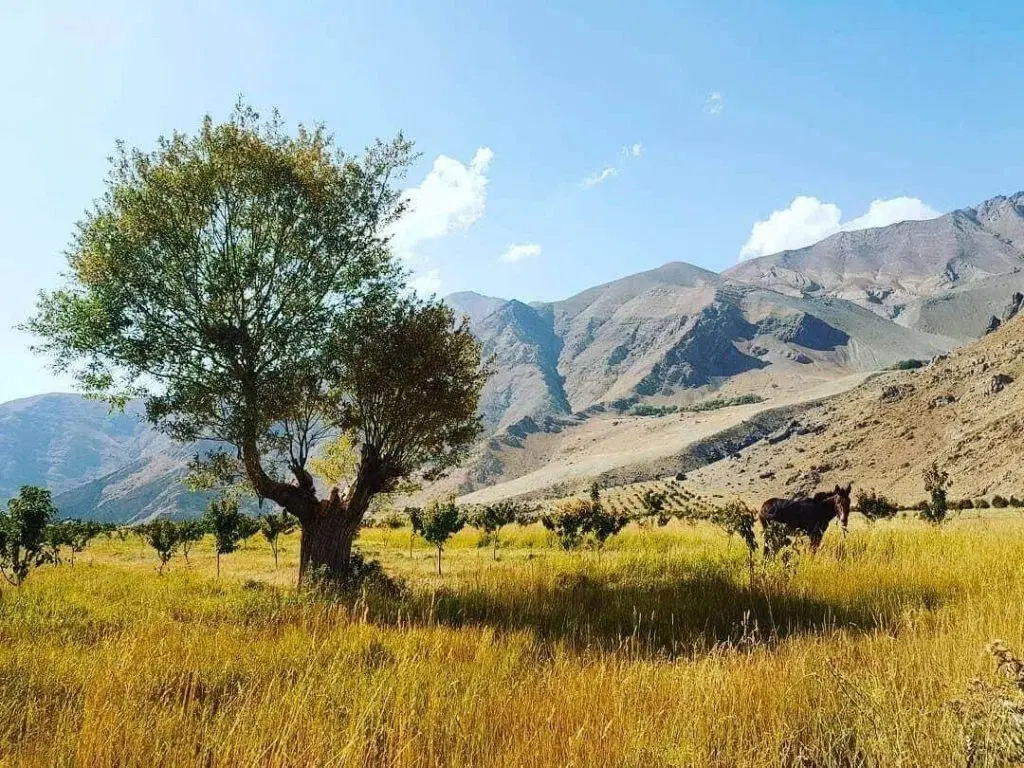 زمین لواسان
