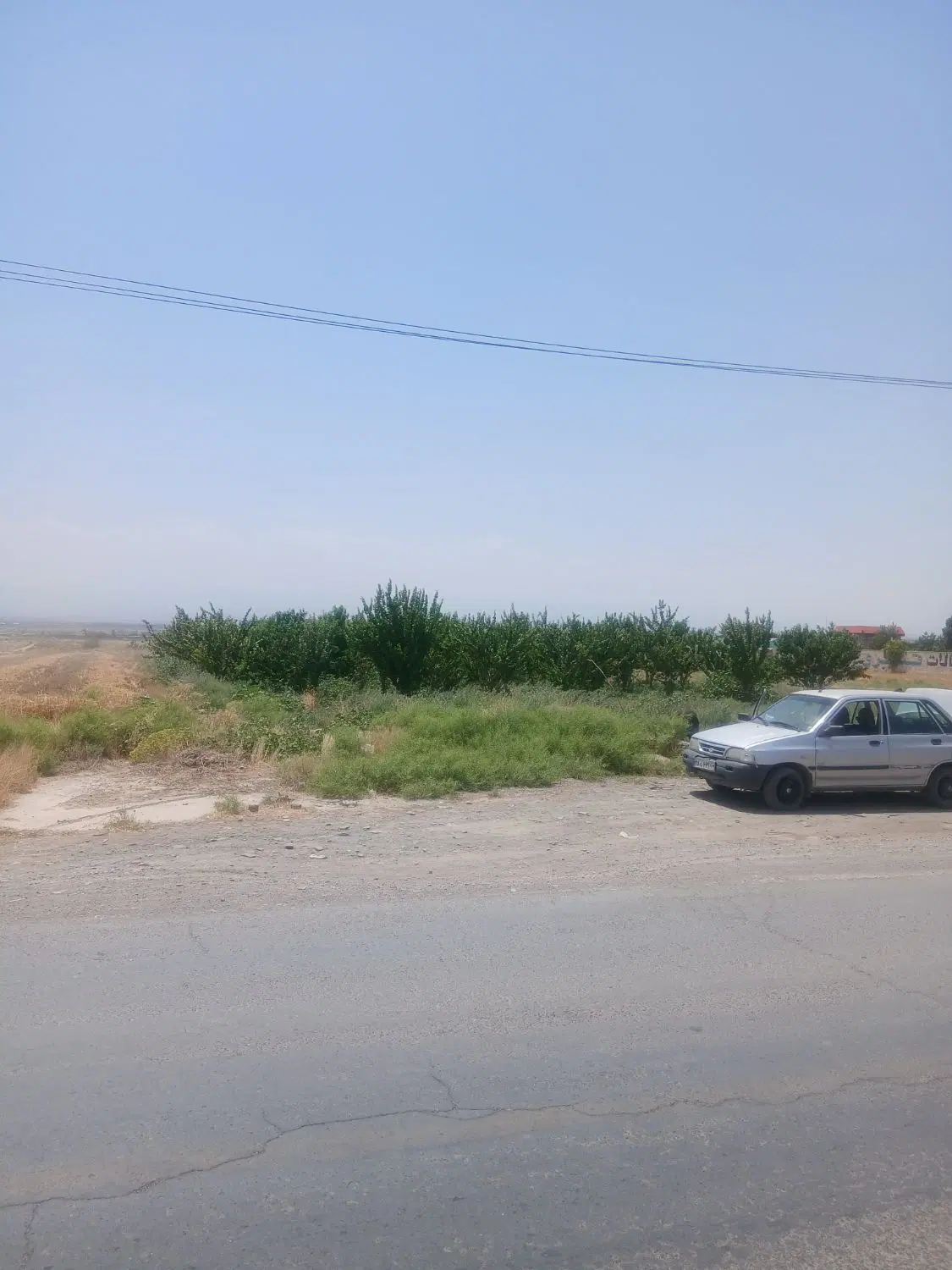 قطعات زمین ۳۰۰متری ۴۰۰متری حاشیه جاده اصلی امرغان
