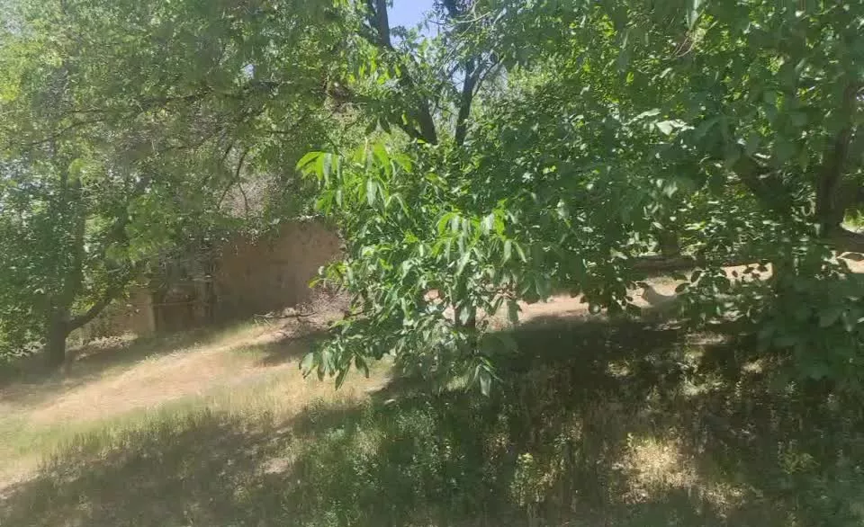 چهل قصب زمین ساردو