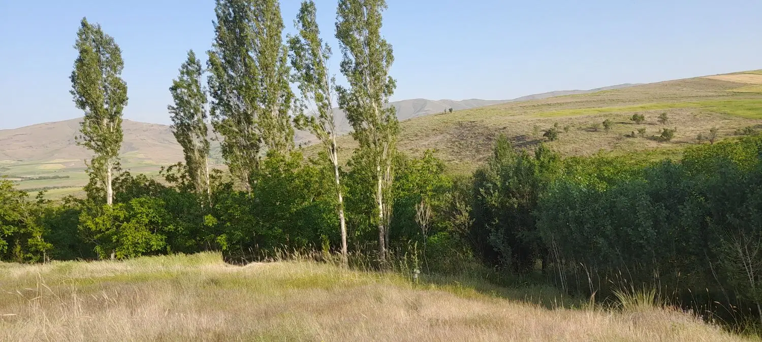 زمین کشاورزی