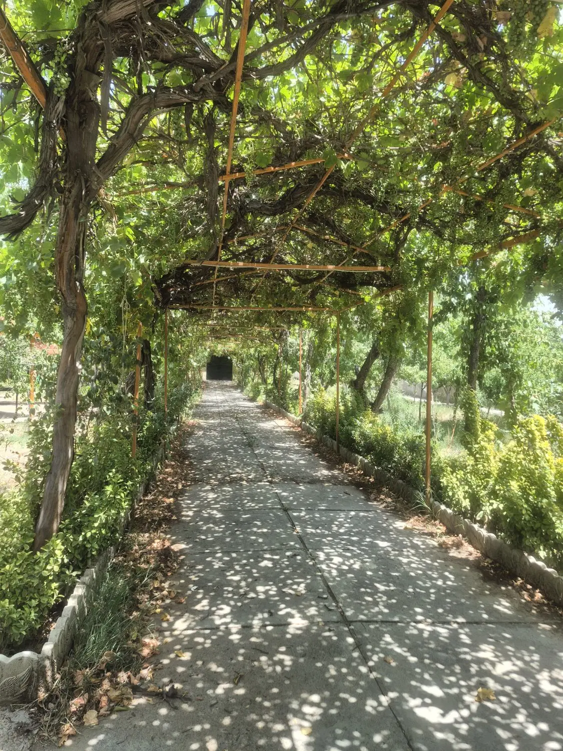 باغ فروشی