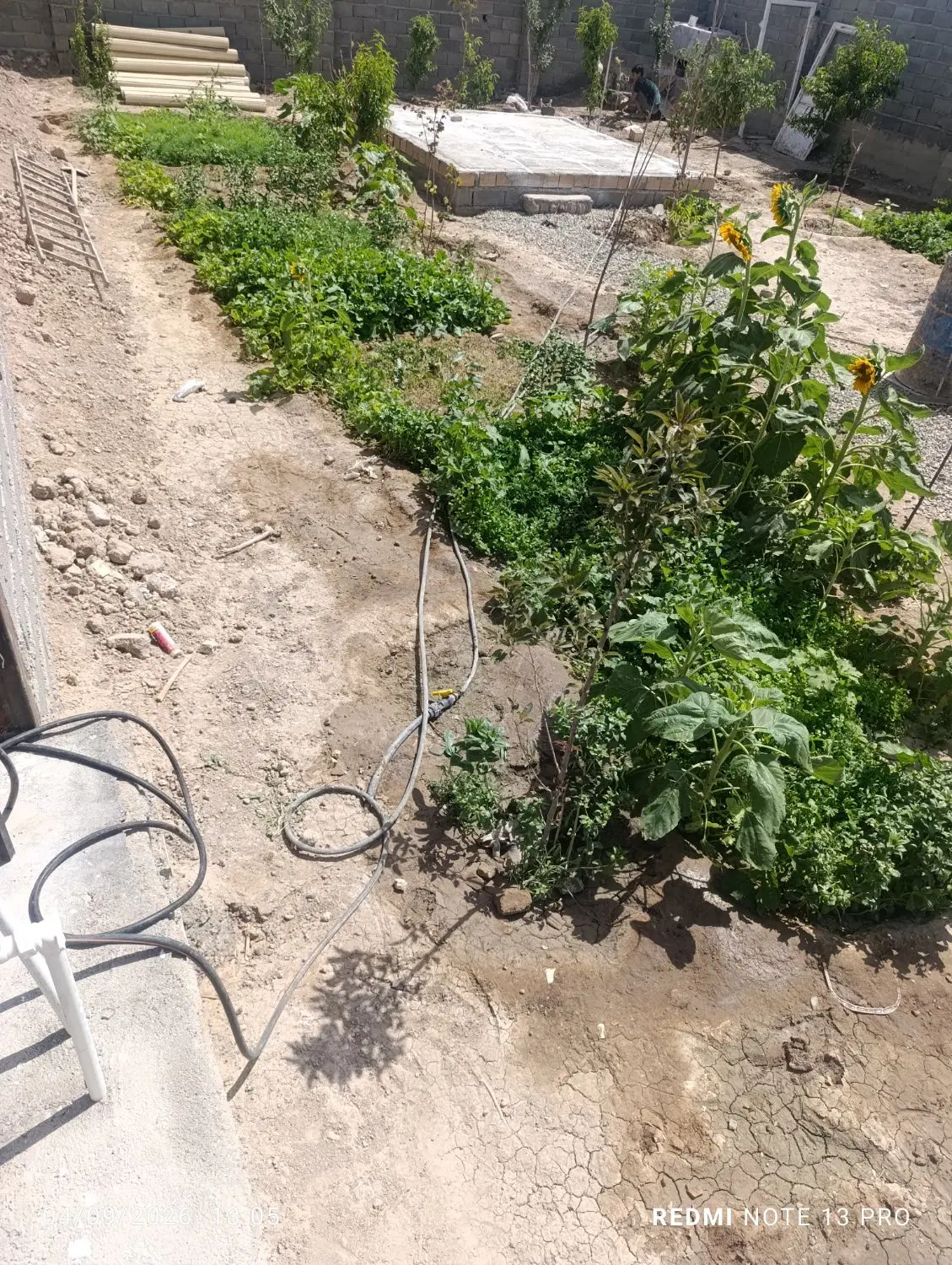 باغچه 300متری چهاردیواری