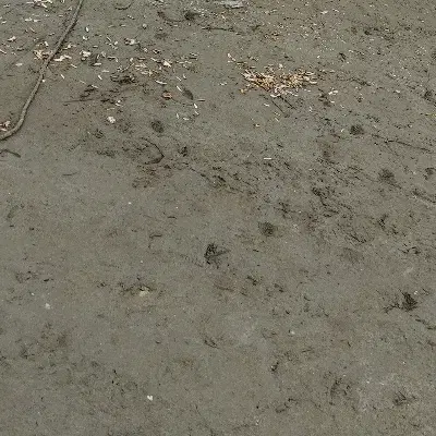زمین چوره ناب