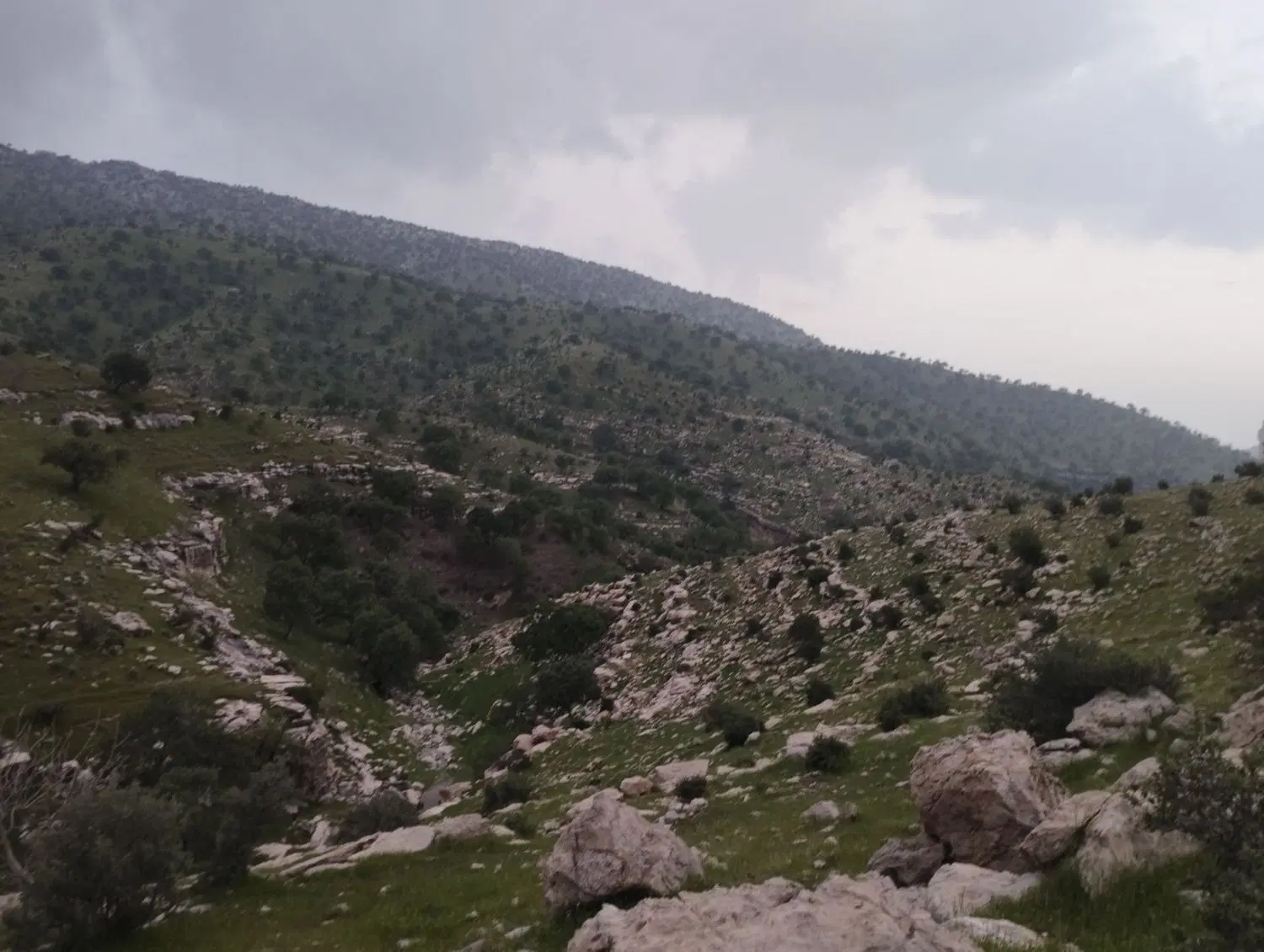 زمین مسکونی گیلانغرب