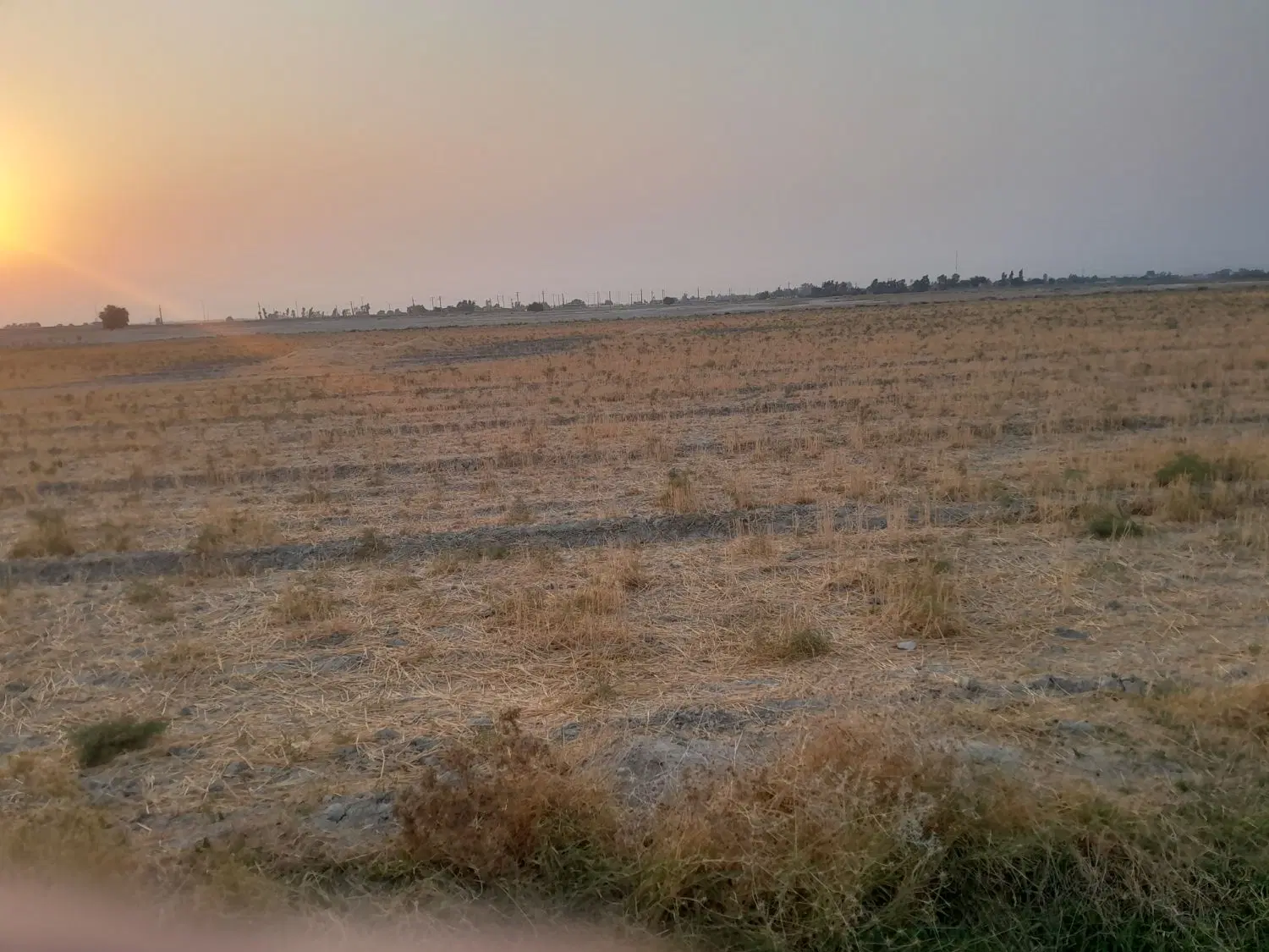 فروش زمین کشاورزی روستا بنه نوشاد