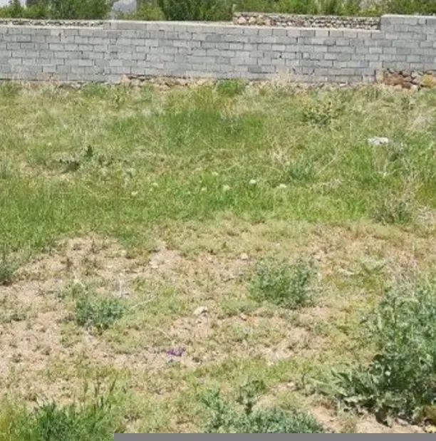 فروش رمین روستا