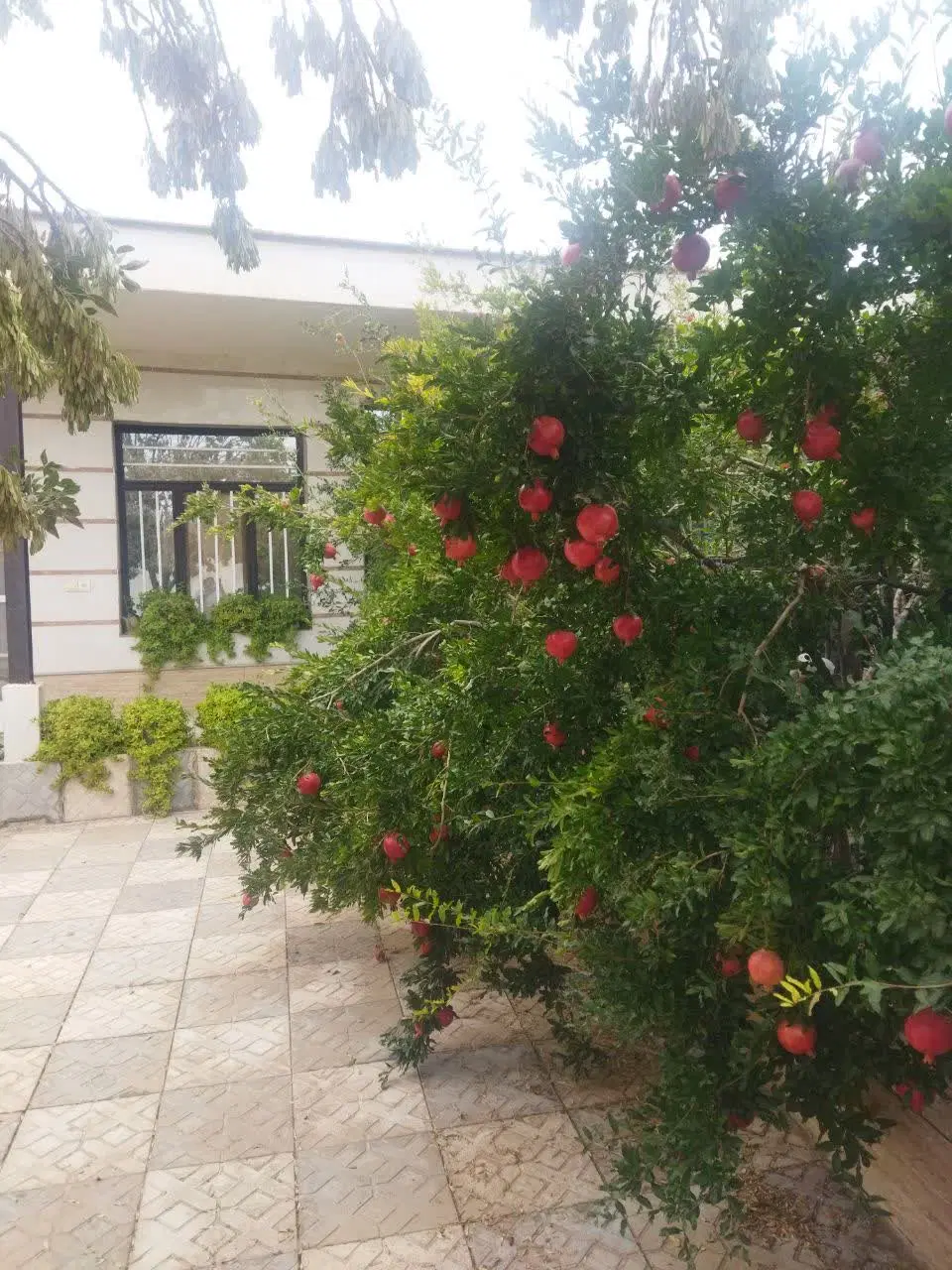 فروش ویلای باغی 950 متری سنددار دو واحد مسکونی باغ