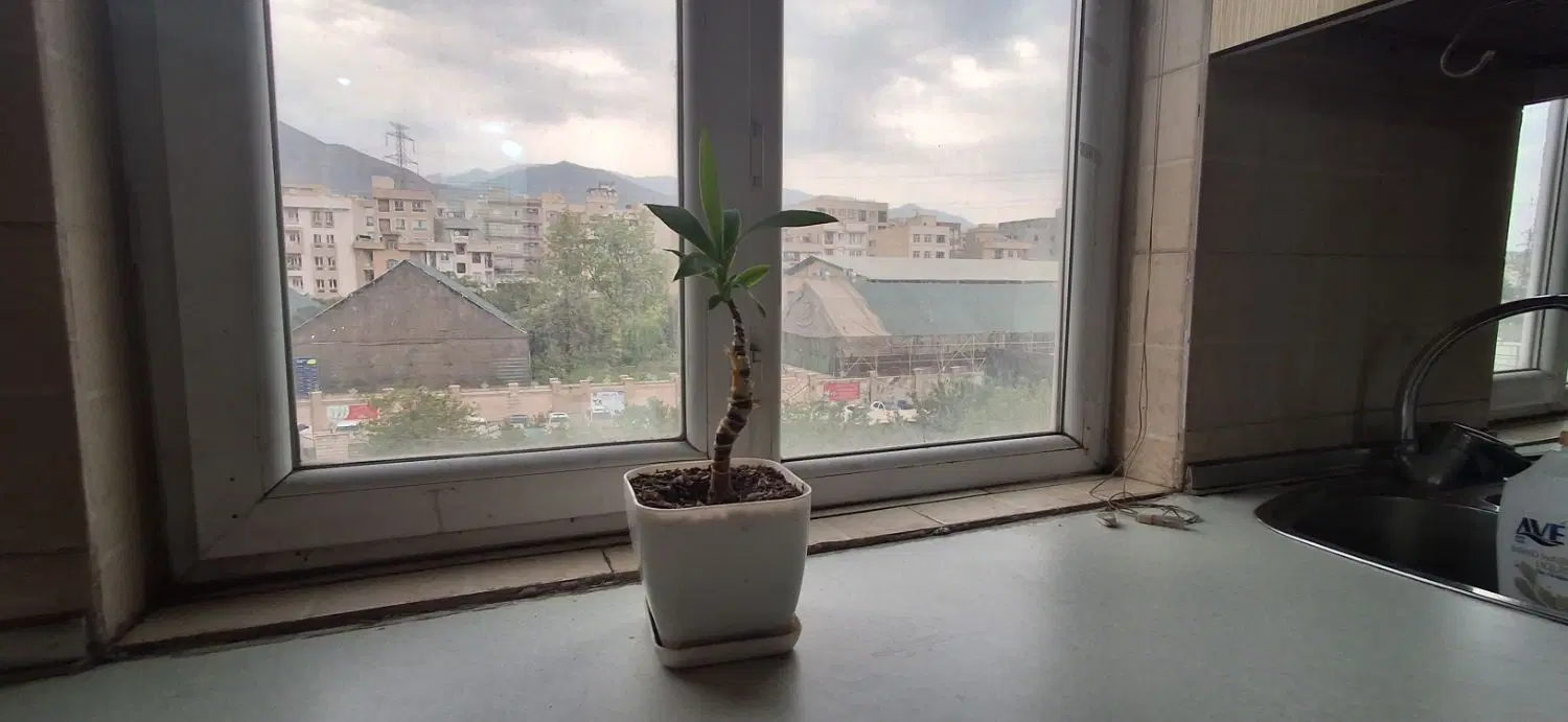 ۸۵ متر جنت اباد شمالی فقط امروز