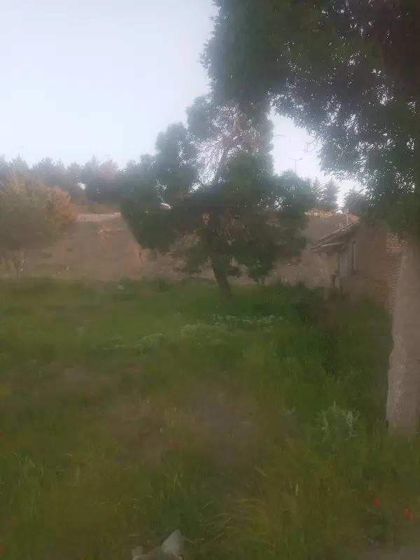 فروش زمین