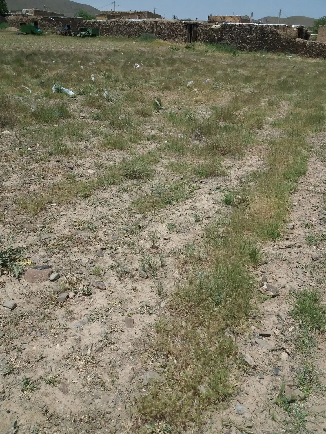 زمین مسکونی