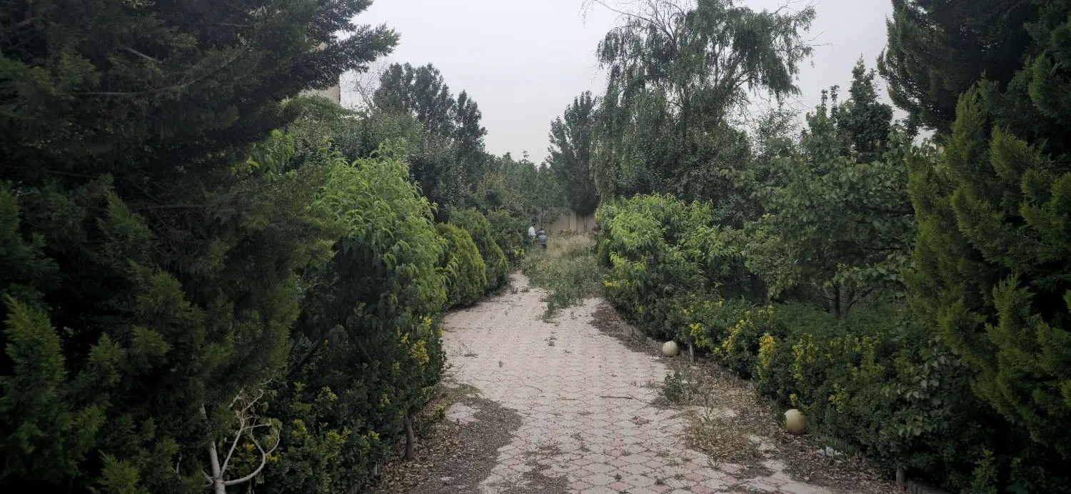 فروش باغ چهاردیواری باسند ۶ دانگ