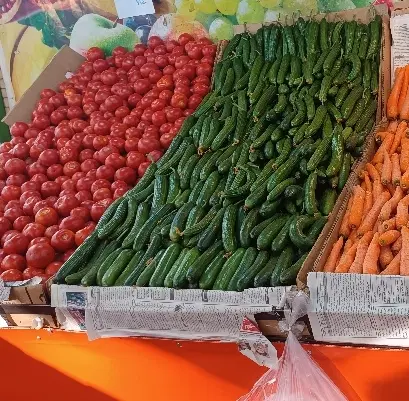 اجاره سبزی
