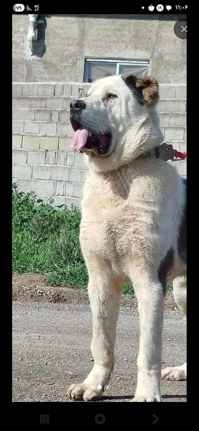 اجاره گاراژ
