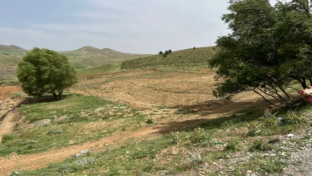 زمین مرغ داری