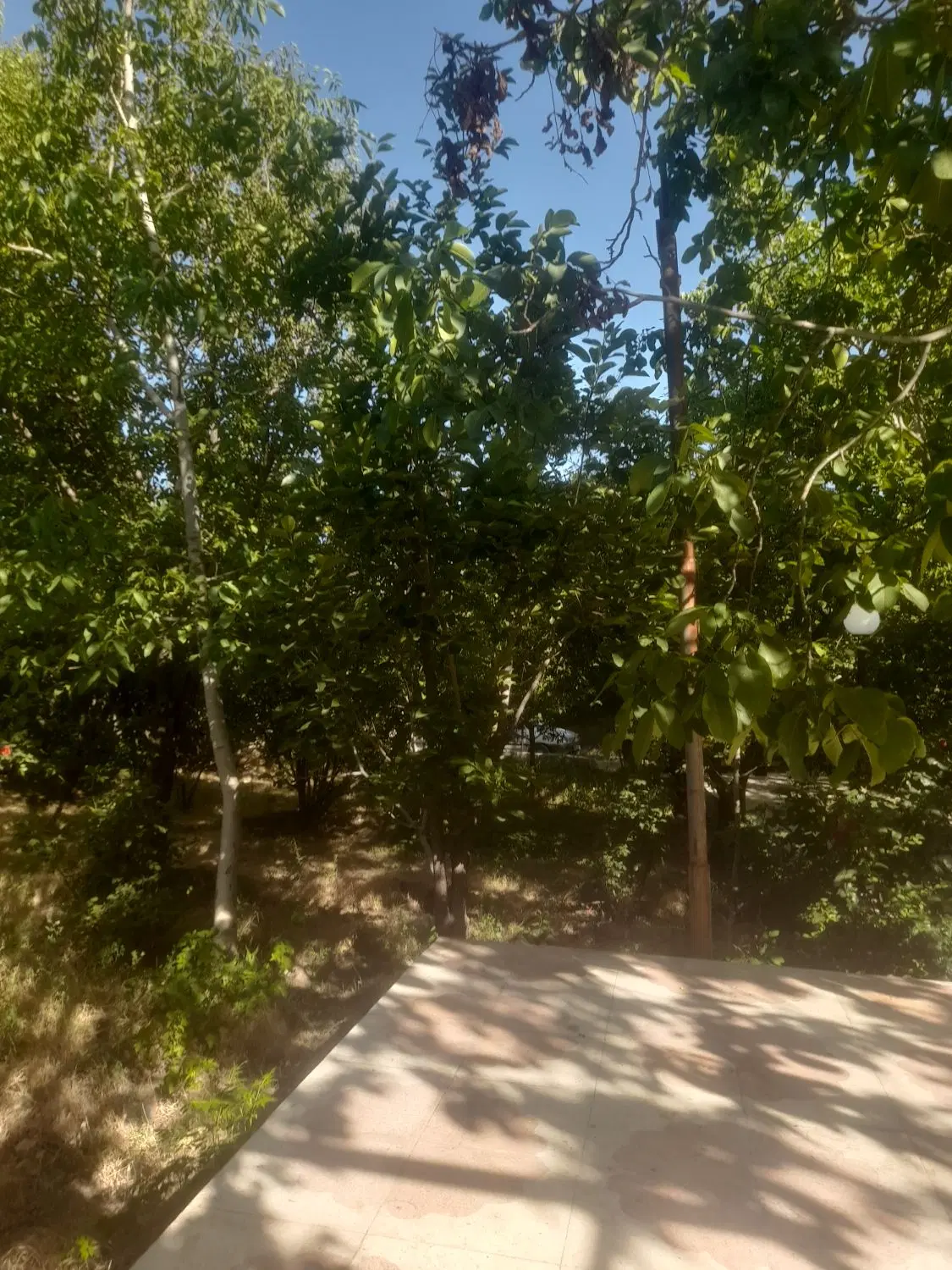 اجاره منزل مسکونی