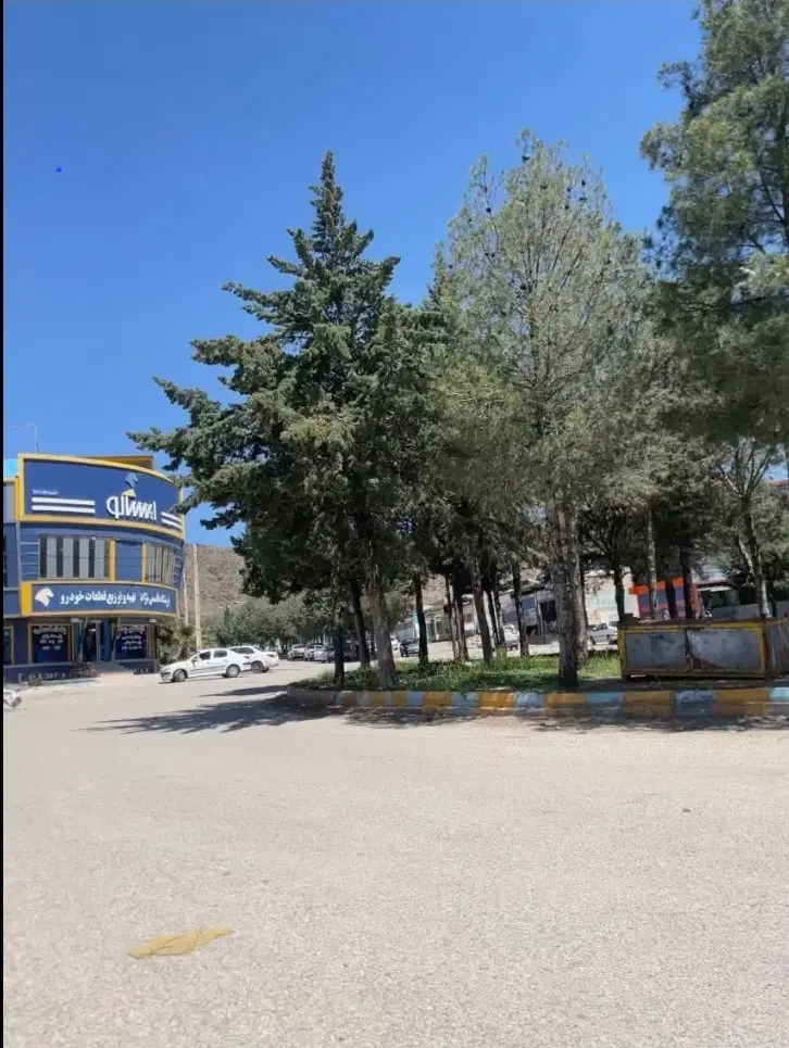 مغازه