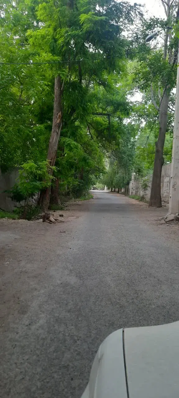 باغ ۹۰۰ متری، سند تک برگ