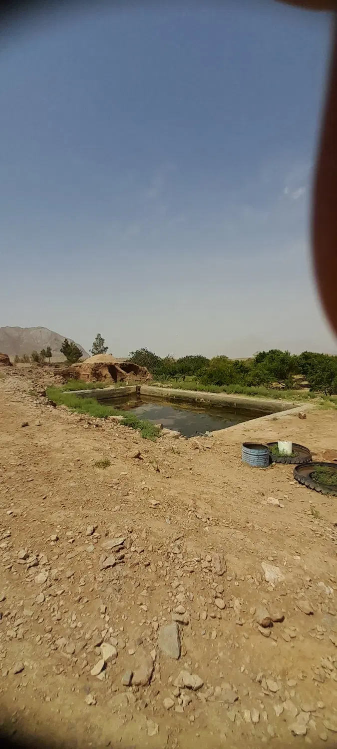مزرعه در بست (قیمت توافقی و معاوضه )