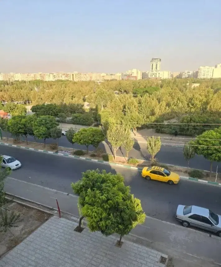زمین ۳۰۸ متر دادگستری