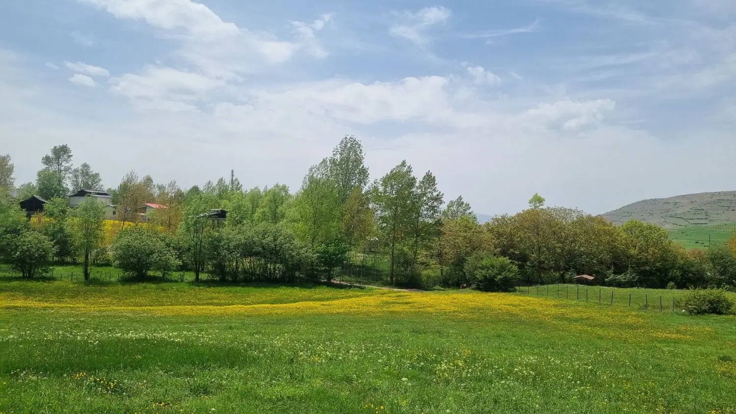زمین مسکونی