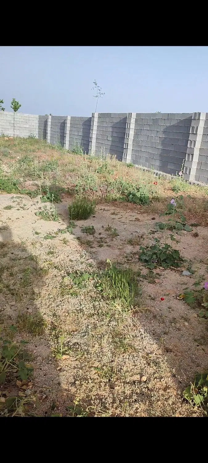 زمین شیراز