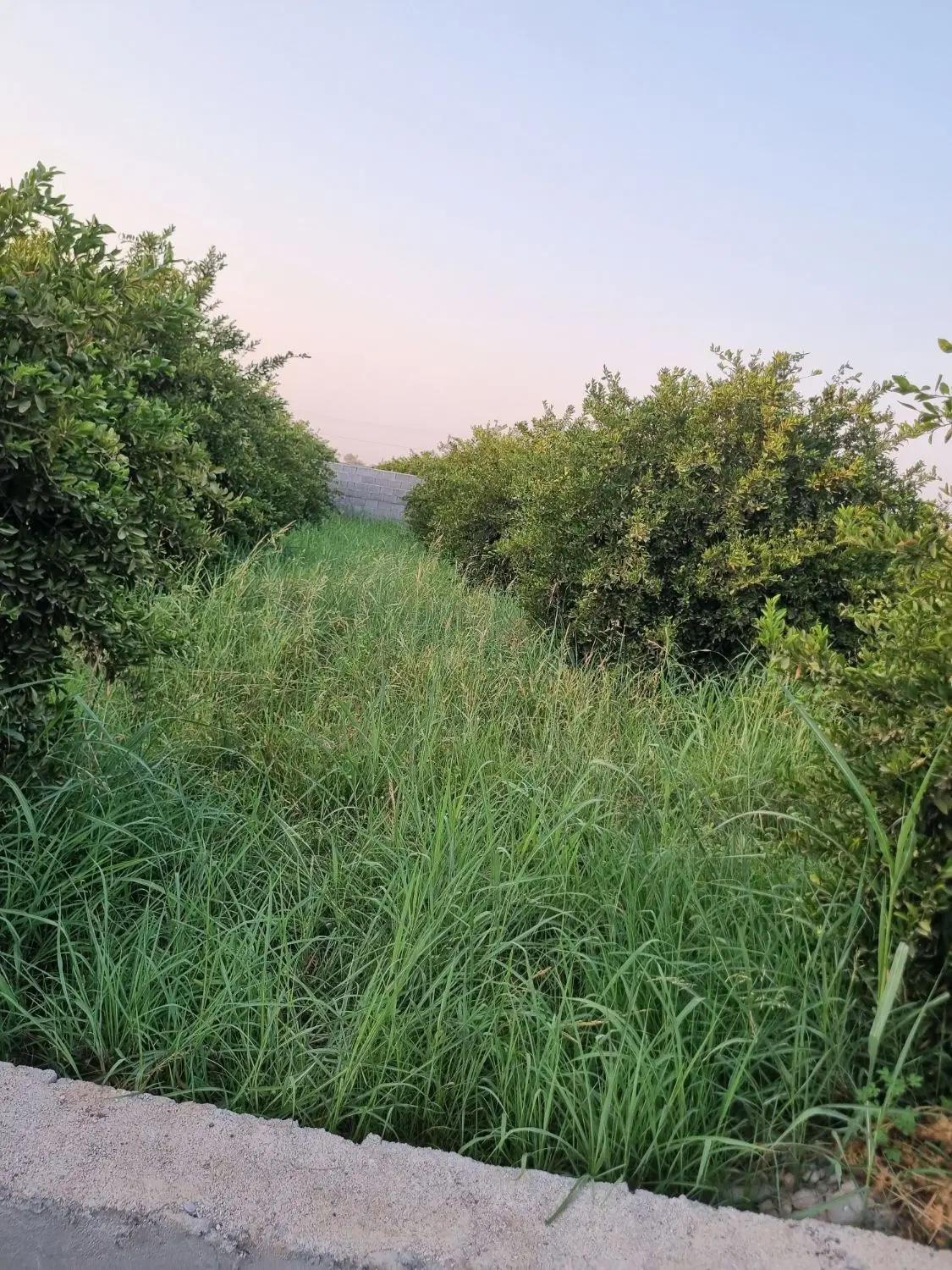 فروش باغچه ۶۶۵متری شهر منتظران
