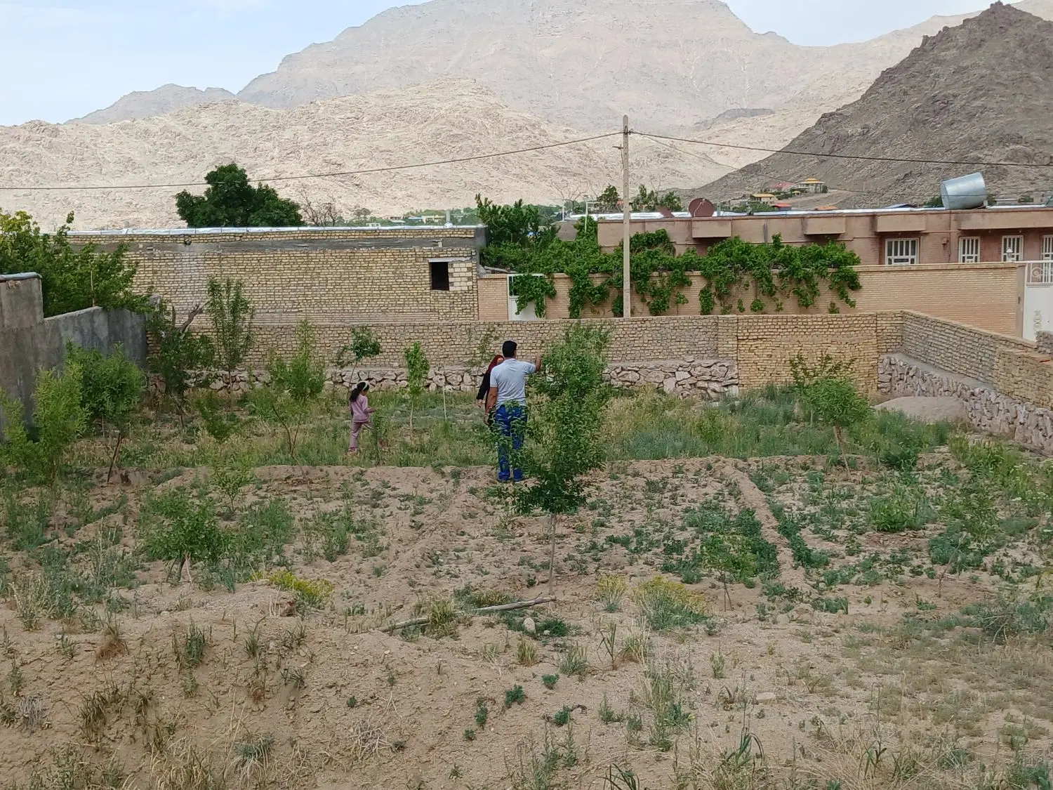 فروش زمین ۵۰۰ متری باغی در روستای سانیج