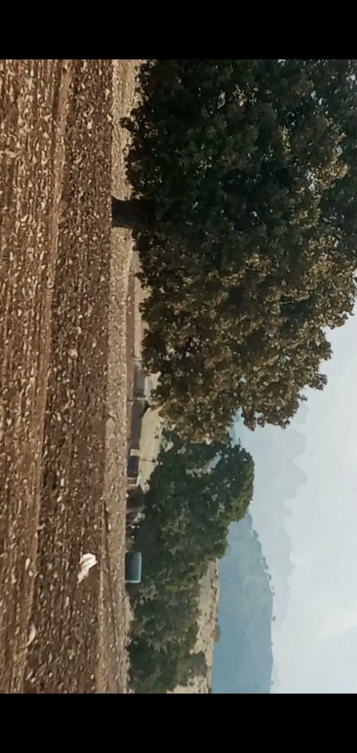 ۳۰۰۰ متر زمین صنعتی ایلام