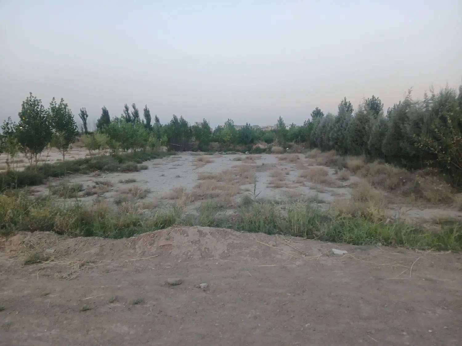 زمین باغچه ای