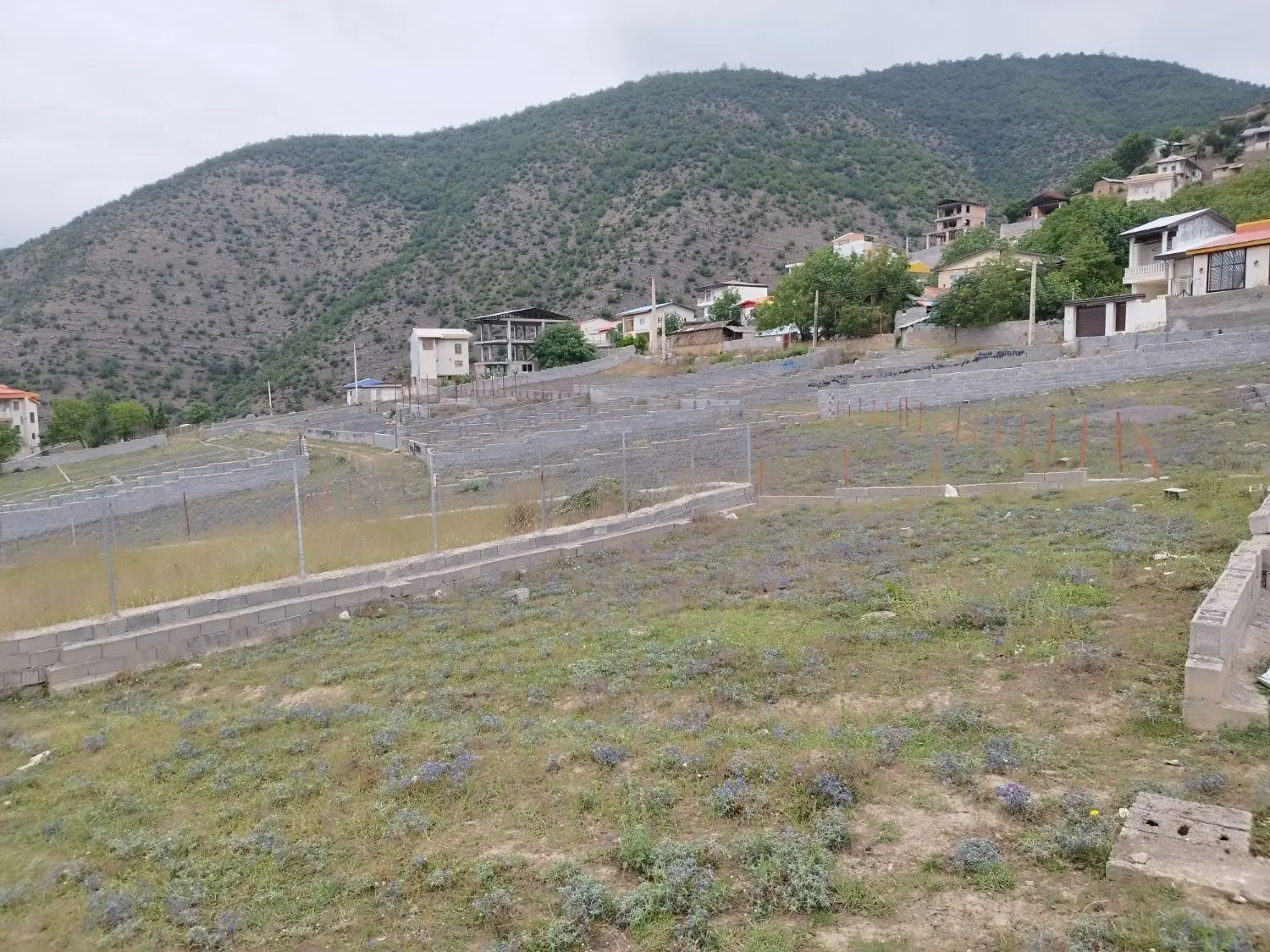 زمین مسکونی ۱۵۰ متر در روستای خوش آب و هوای پالند