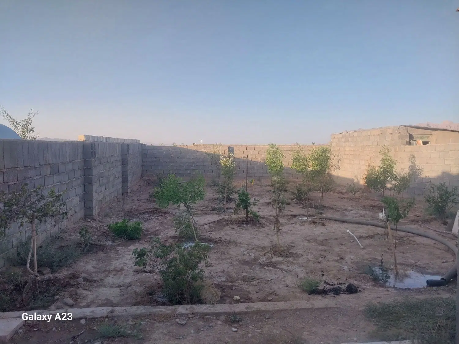 خونه باغ